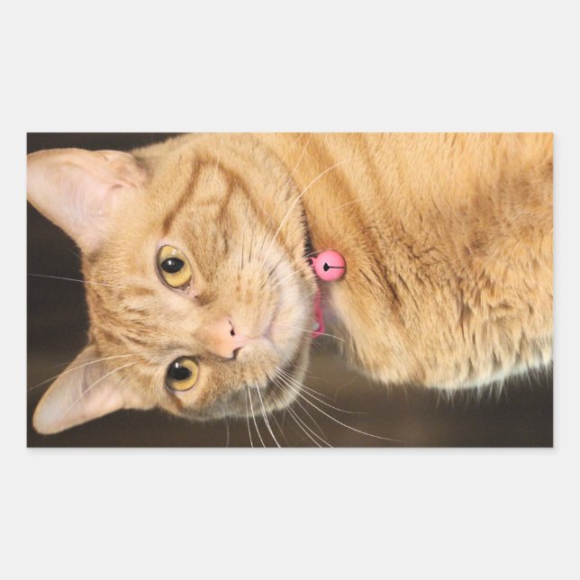 Pretty Penny Rectangular Sticker (Front)
