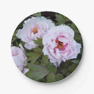 Pretty Peonies Paper Plate