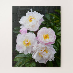 Pretty peony flowers jigsaw puzzle