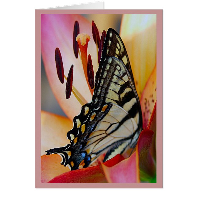 Pretty Petals (Front)