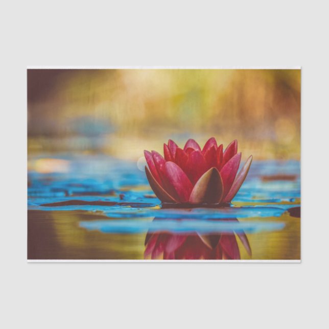 Pretty Photo of a Lotus Flower in a Pond Tissue Paper (Front)