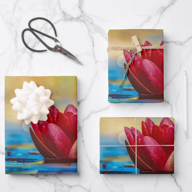 Pretty Photo of a Lotus Flower in a Pond Wrapping Paper Sheet (Front)