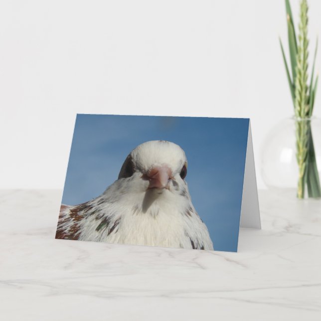 Pretty Pigeon Card (Front)