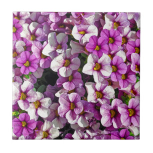 Pretty pink and purple petunias floral print ceramic tile