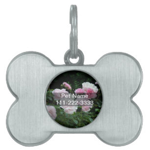 pretty pink and white rose flower bushes. Floral, Pet Name Tag