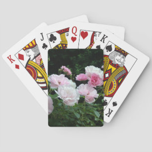pretty pink and white rose flower bushes. Floral, Playing Cards