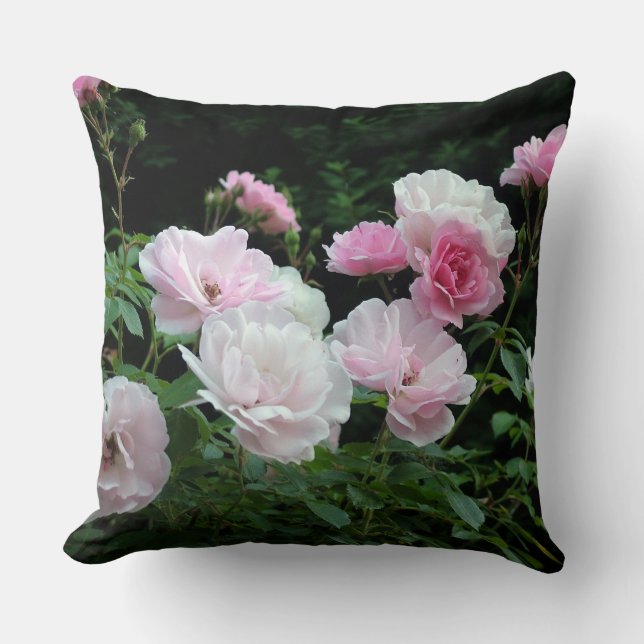 pretty pink and white rose flowers. Floral photo Cushion (Front)
