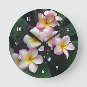 Pretty Pink and Yellow Plumeria Floral Photo Round Clock
