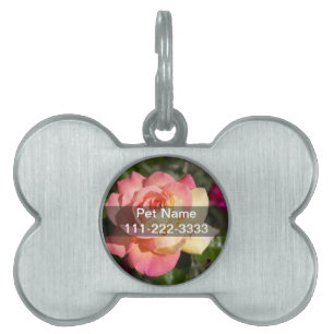 Pretty pink and yellow rose flower. Floral Pet ID Tag