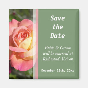 Pretty pink and yellow rose flower  save the date magnet
