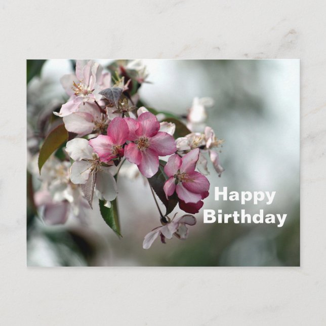 Pretty Pink Apple Floral Photo Birthday Postcard (Front)