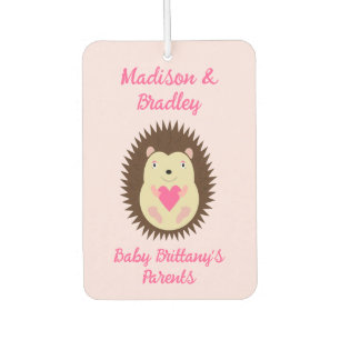 Pretty Pink Baby Girl Hedgehog Custom Car Air Freshener