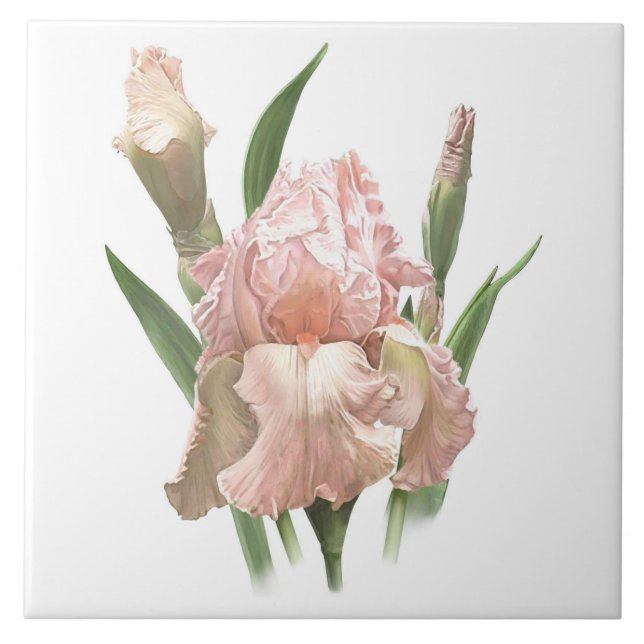Pretty Pink Bearded Iris Flower Botanical Art Ceramic Tile (Front)