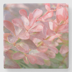 Pretty Pink Branche Stone Coaster