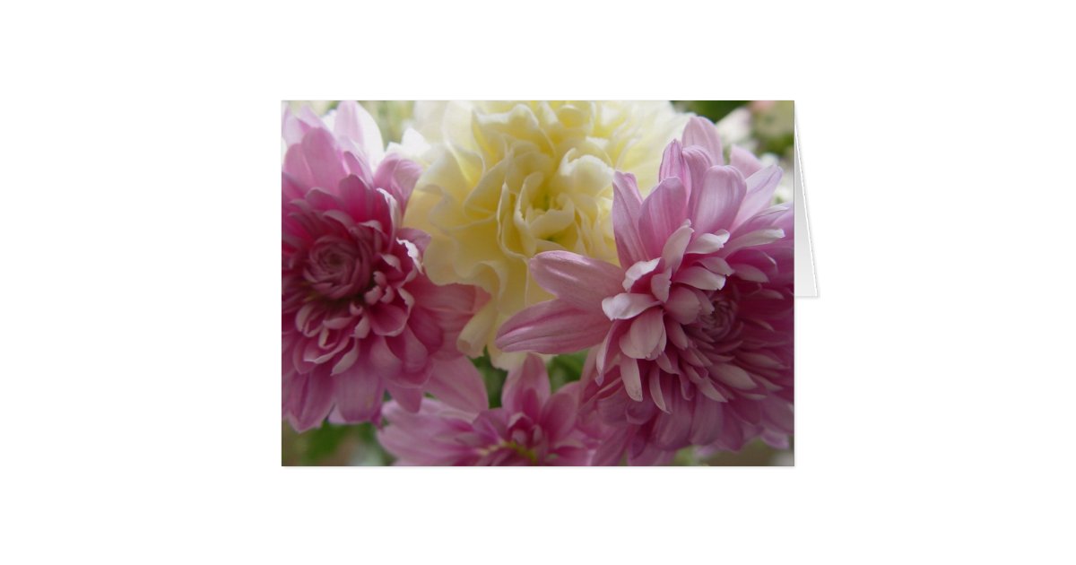 Pretty Pink Carnations Happy Birthday Mum Card Zazzle