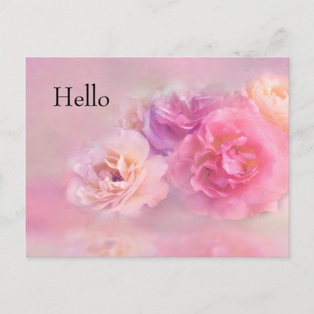 Pretty Pink Carnations Stylish Photography Hello Postcard (Front)