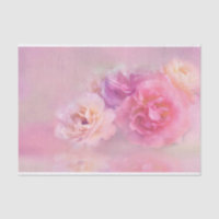 Pretty Pink Carnations Stylish Photography