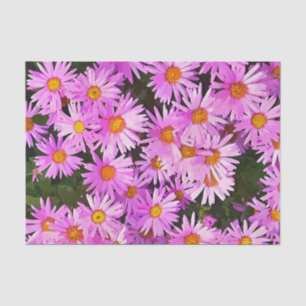 PRETTY PINK DAISIES TISSUE PAPER