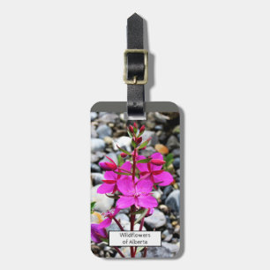 Pretty Pink Fireweed Wildflowers Bloom in Canada Luggage Tag