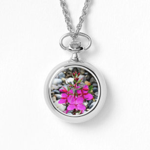 Pretty Pink Fireweed Wildflowers Bloom in Canada Watch