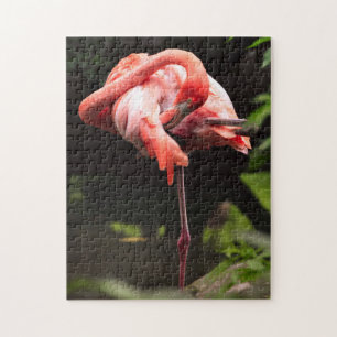 Pretty Pink Flamingo Jigsaw Puzzle
