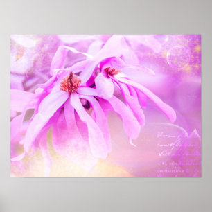 Pretty Pink Flower Blossoms Poster