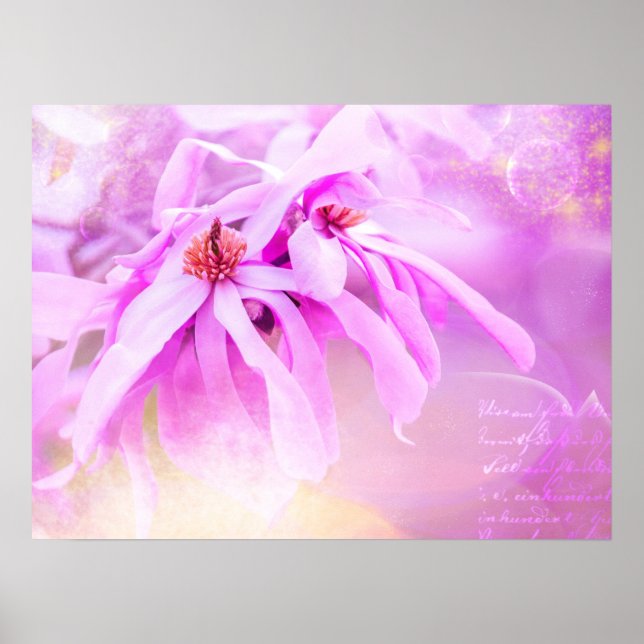 Pretty Pink Flower Blossoms Poster (Front)