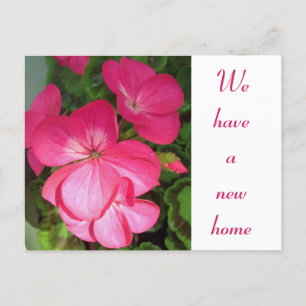 Pretty Pink Flower Photo Moving Announcement Postc Postcard