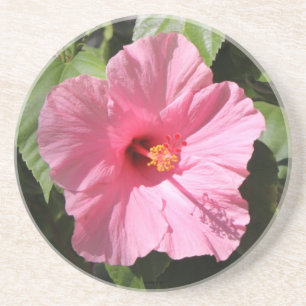 Pretty Pink Flower Stone Coaster