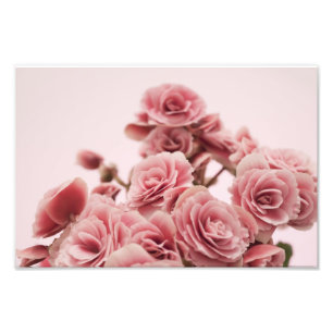 Pretty Pink flowers Photo Print