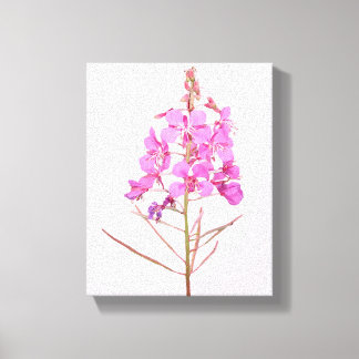 Pretty pink flowers simple modern floral botany canvas print