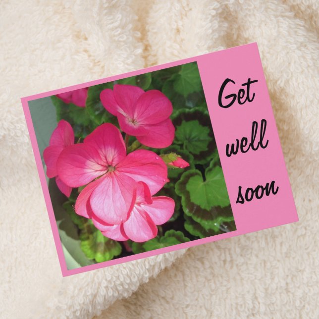 Pretty Pink Geranium Photo Get Well Soon Postcard (Creator Uploaded)