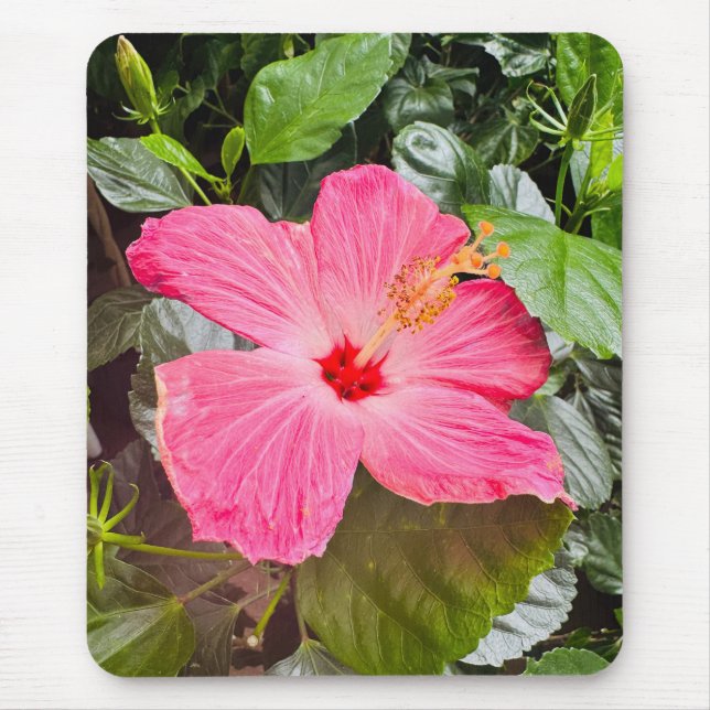 Pretty Pink Hibiscus Mouse Pad (Front)