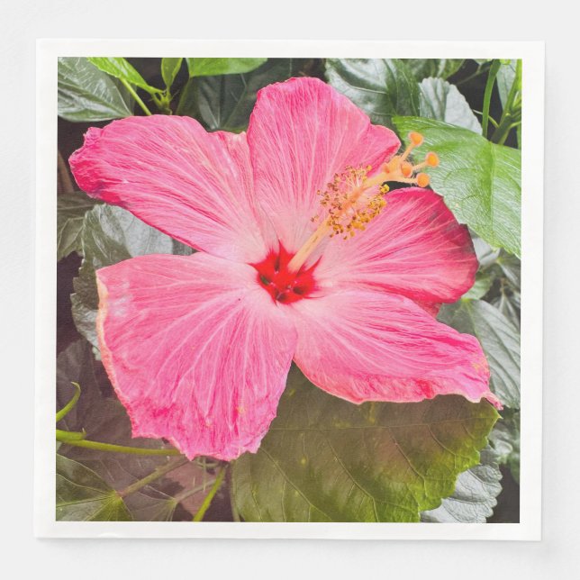 Pretty Pink Hibiscus Napkin (Front)