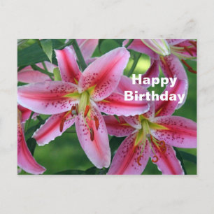 Pretty Pink Lily Floral Photo Birthday Postcard