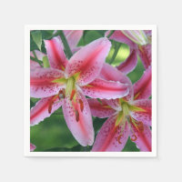 Pretty Pink Lily Floral Photo