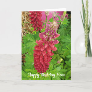 Pretty Pink Lupine Floral Mum Birthday Card