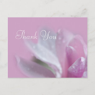 pretty pink magnolia flower thank you postcard. postcard