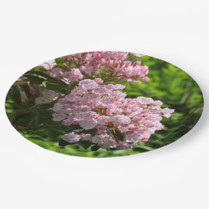 Pretty Pink Mountain Laurel Flowers Paper Plate