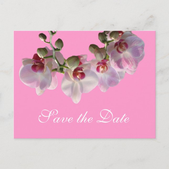pretty pink orchid flowers pink save the date announcement postcard (Front)