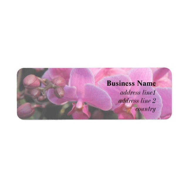 pretty pink orchid flowers return address label (Front)