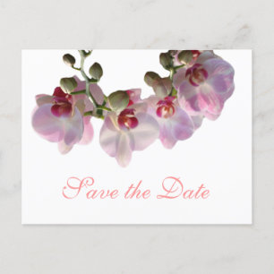 pretty pink orchid flowers save the date wedding announcement postcard