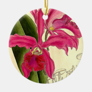 Pretty Pink Orchid Vintage Illustration Ceramic Ornament