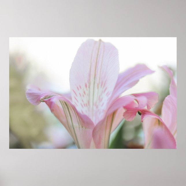 Pretty Pink Pastel Flower Poster (Front)
