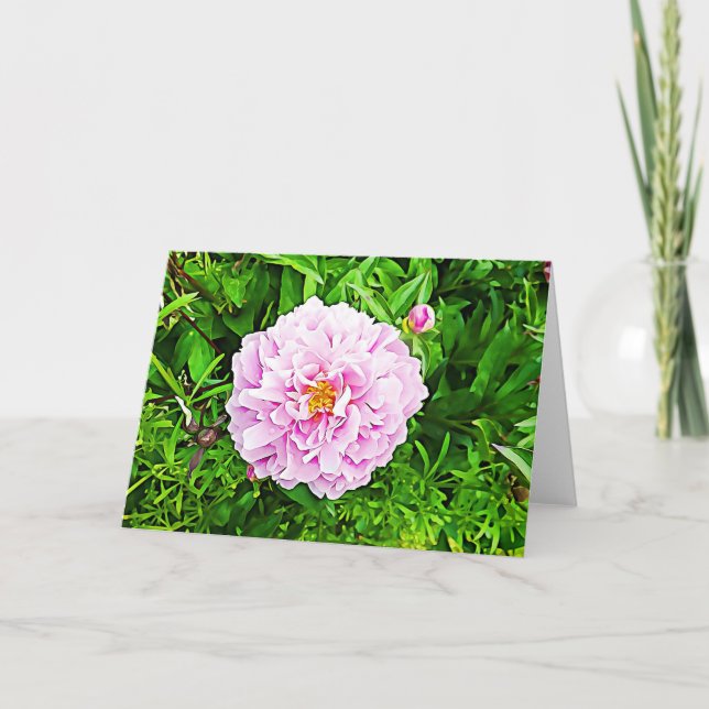 Pretty pink Peonie Blank Card (Front)
