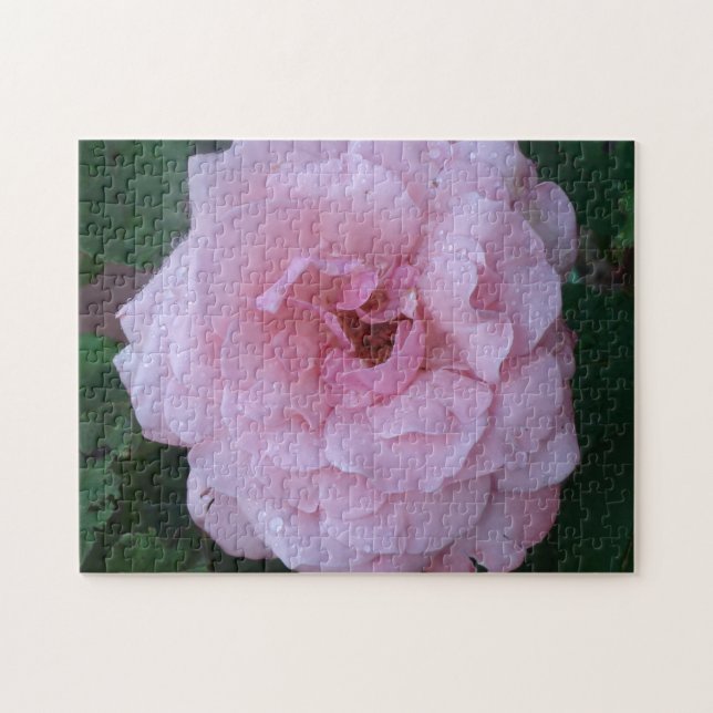 Pretty Pink Peonie with Raindrops Jigsaw Puzzle (Horizontal)