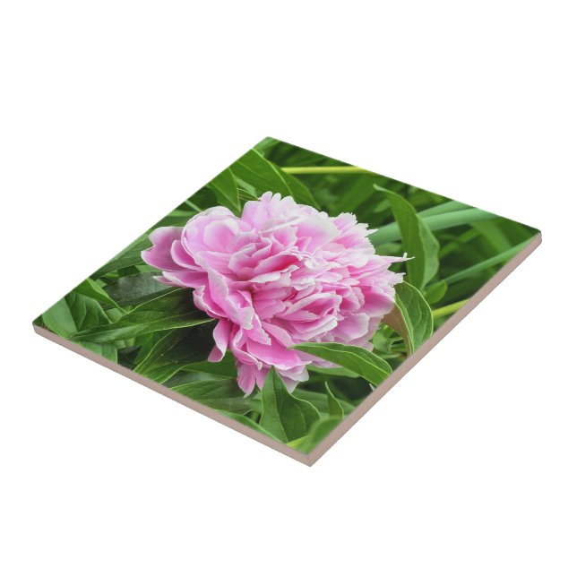 Pretty Pink Peony Ceramic Tile (Side)