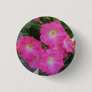 Pretty Pink Petunia Flower Photo 3 Cm Round Badge