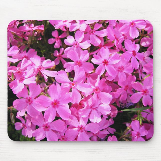 Pretty Pink Phlox Mouse Pad (Front)