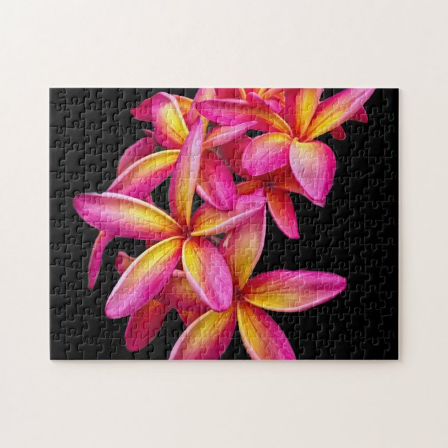 Pretty Pink Plumeria Floral Photo Jigsaw Puzzle (Horizontal)